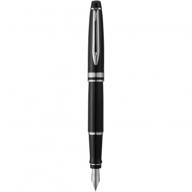Logotrade promotional gift picture of: Waterman Expert fountain pen
