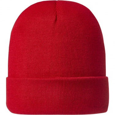 Logotrade business gift image of: Irwin beanie