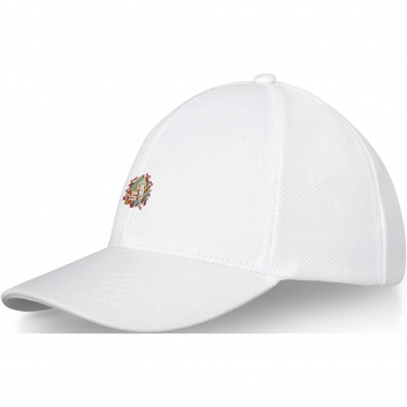 Logotrade promotional gift image of: Drake 6 panel trucker cap