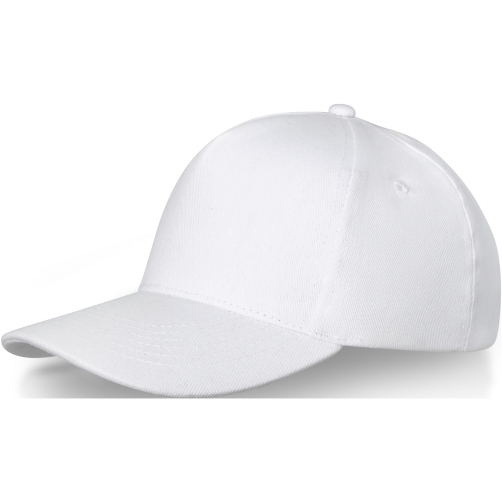 Logo trade promotional products picture of: Doyle 5 panel cap