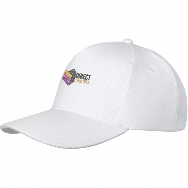 Logotrade promotional merchandise picture of: Doyle 5 panel cap