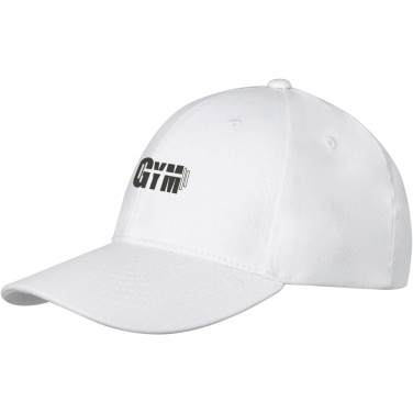 Logotrade promotional item picture of: Davis 6 panel cap