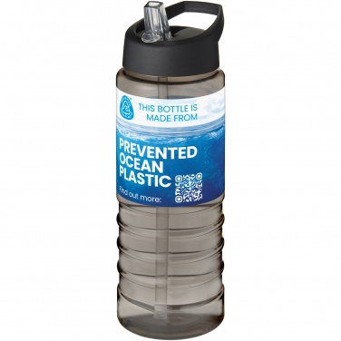Logotrade promotional merchandise image of: H2O Active® Eco Treble 750 ml spout lid sport bottle 