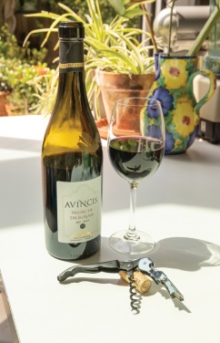 Logotrade business gifts photo of: Vino Waiters corkscrew