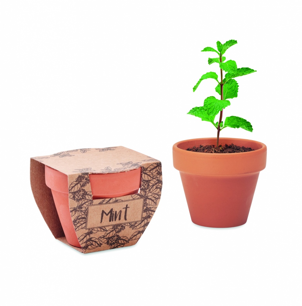Logotrade promotional giveaway image of: Terracotta pot mint seeds