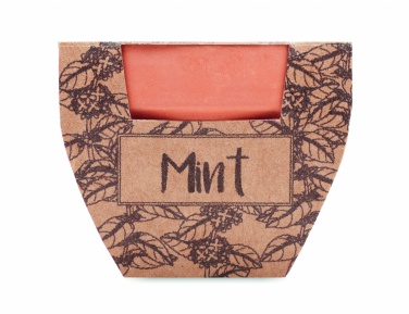 Logotrade advertising product image of: Terracotta pot mint seeds