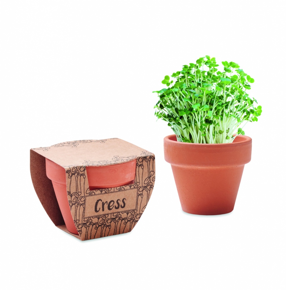 Logotrade advertising product picture of: Terracotta pot cress seeds