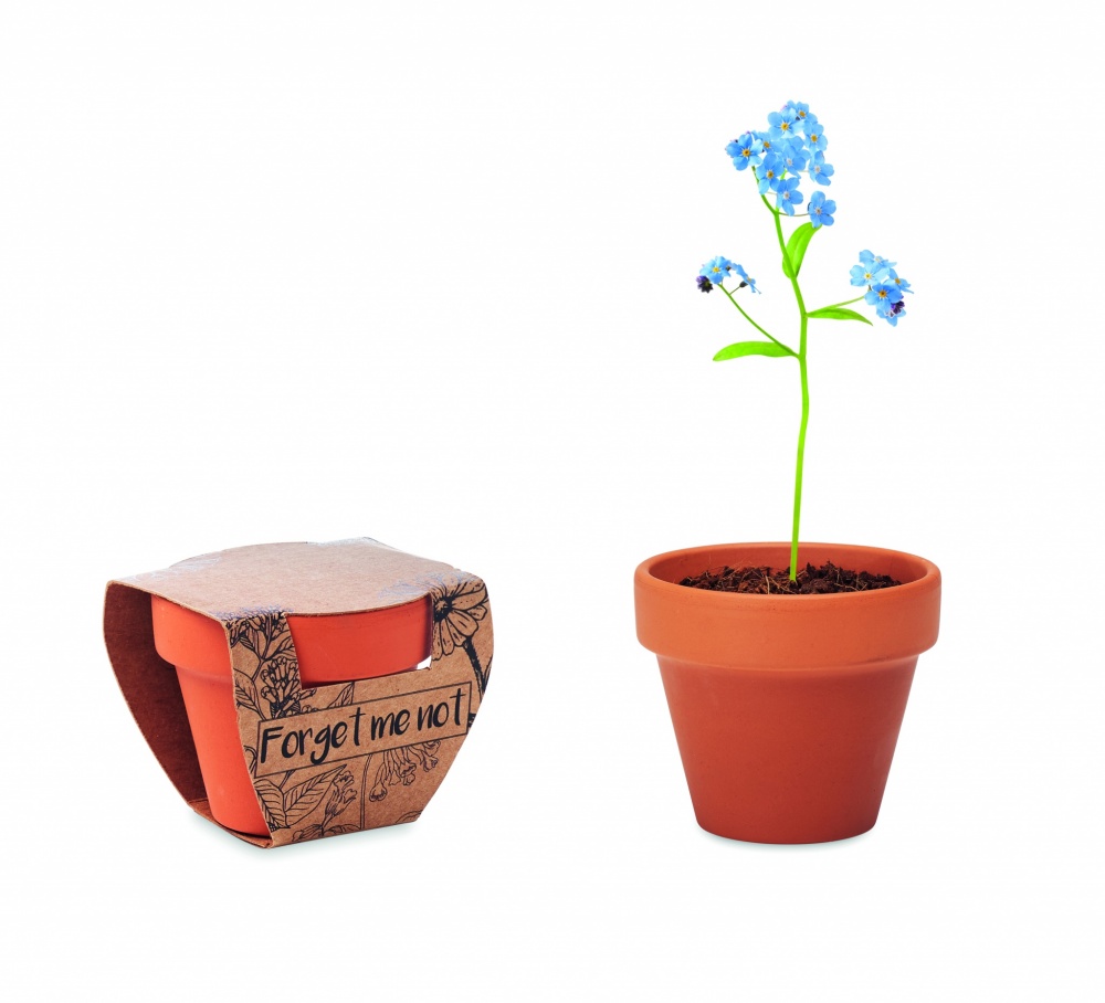 Logo trade promotional giveaways picture of: Terracotta pot 'forget me not'