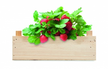 Logo trade promotional gifts image of: Strawberry kit in wooden crate