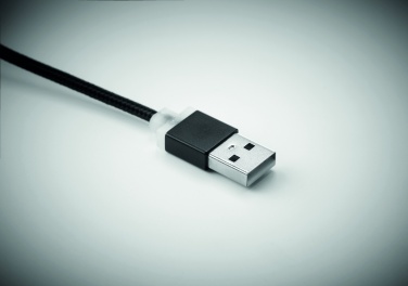 Logotrade promotional item image of: key ring with USB type C cable Salaspils