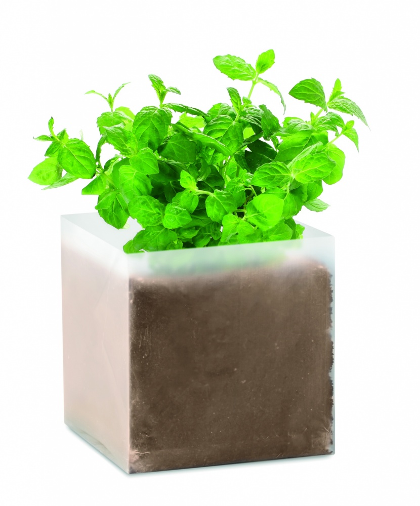 Logotrade promotional giveaway picture of: Compost with seeds "MINT"
