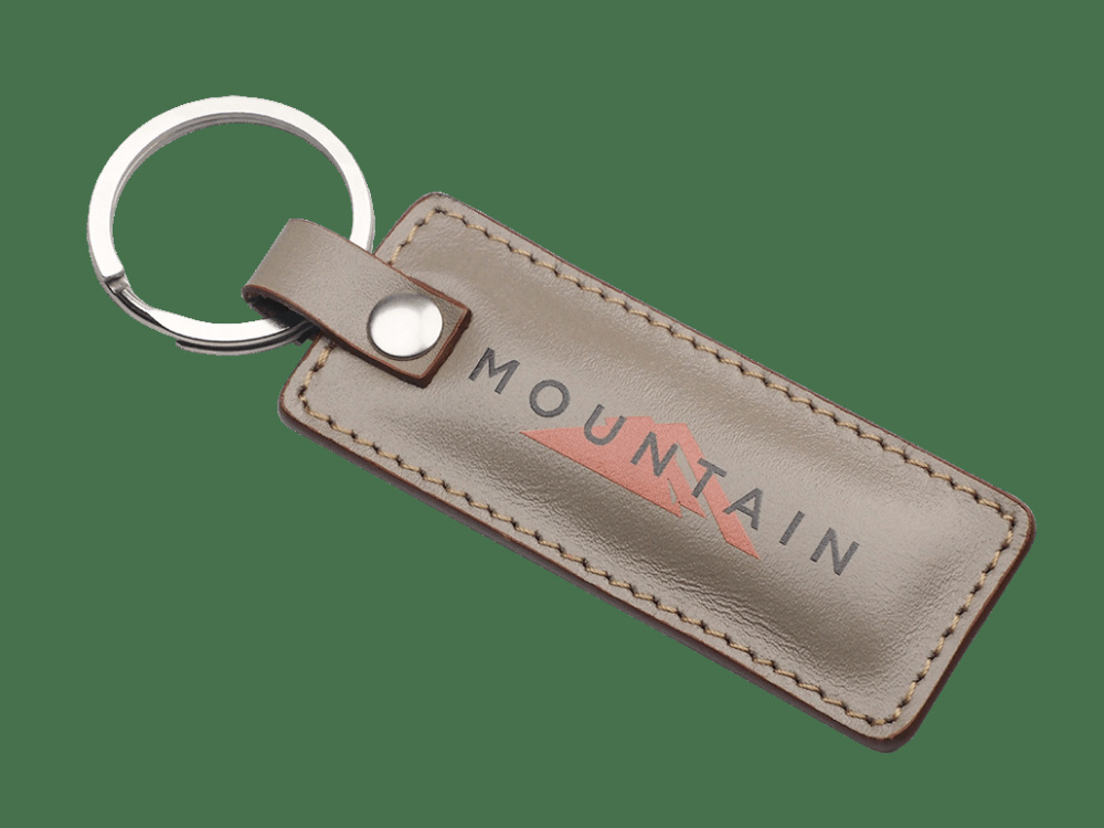 Logotrade promotional merchandise image of: Keyring 565131