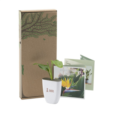 Logotrade advertising products photo of: Treemore Letterbox Trees Bird of Paradise plant