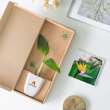 Logotrade promotional giveaway image of: Treemore Letterbox Trees Bird of Paradise plant