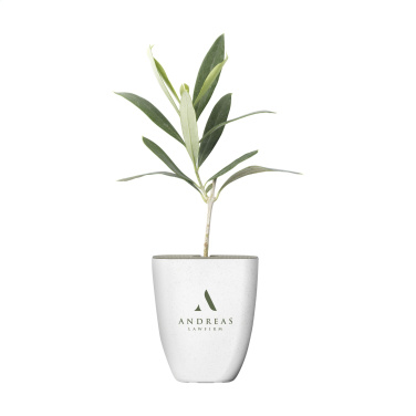 Logotrade promotional giveaways photo of: Treemore Letterbox Trees Olive