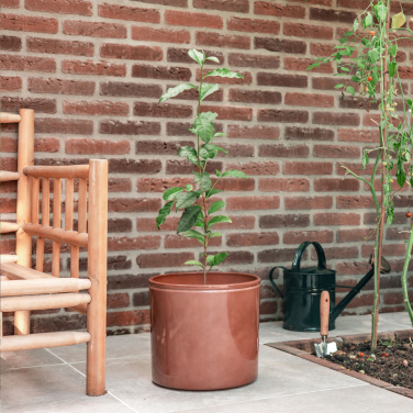 Logo trade promotional giveaways image of: Treemore Letterbox Trees Tea plant