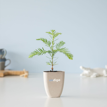 Logo trade corporate gift photo of: Treemore Letterbox Trees Giant Sequoia