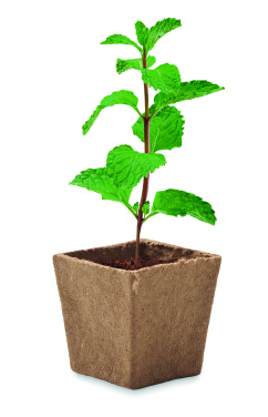 Logotrade promotional item picture of: Mint seeds growing kit