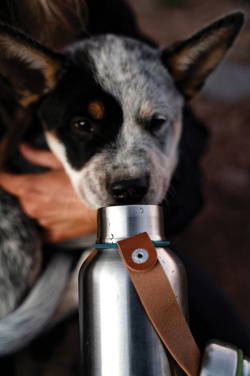 Logotrade promotional items photo of: Black+Blum Insulated Water Bottle Small 500ml