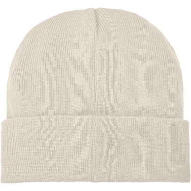 Logotrade promotional merchandise photo of: Boreas beanie with patch