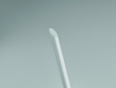 Logotrade promotional merchandise image of: Long lasting inkless pen