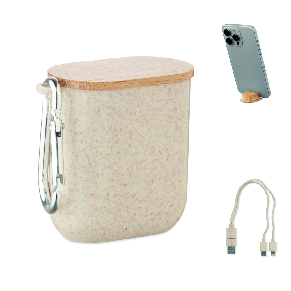 Logotrade corporate gift image of: Cable set in case