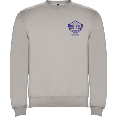 Logotrade promotional merchandise photo of: Clasica unisex crewneck sweater