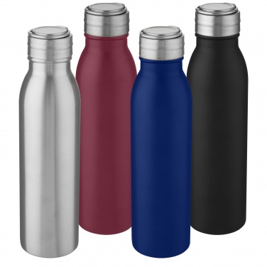 Logotrade reklaamkingituse foto: Harper 700 ml roostevabast terasest veepudel metallist aasaga