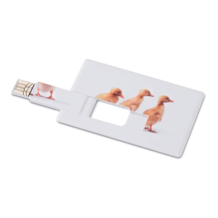 Logo trade reklaamkingi pilt: Krediitkaart. USB-välkmälu 16 GB
