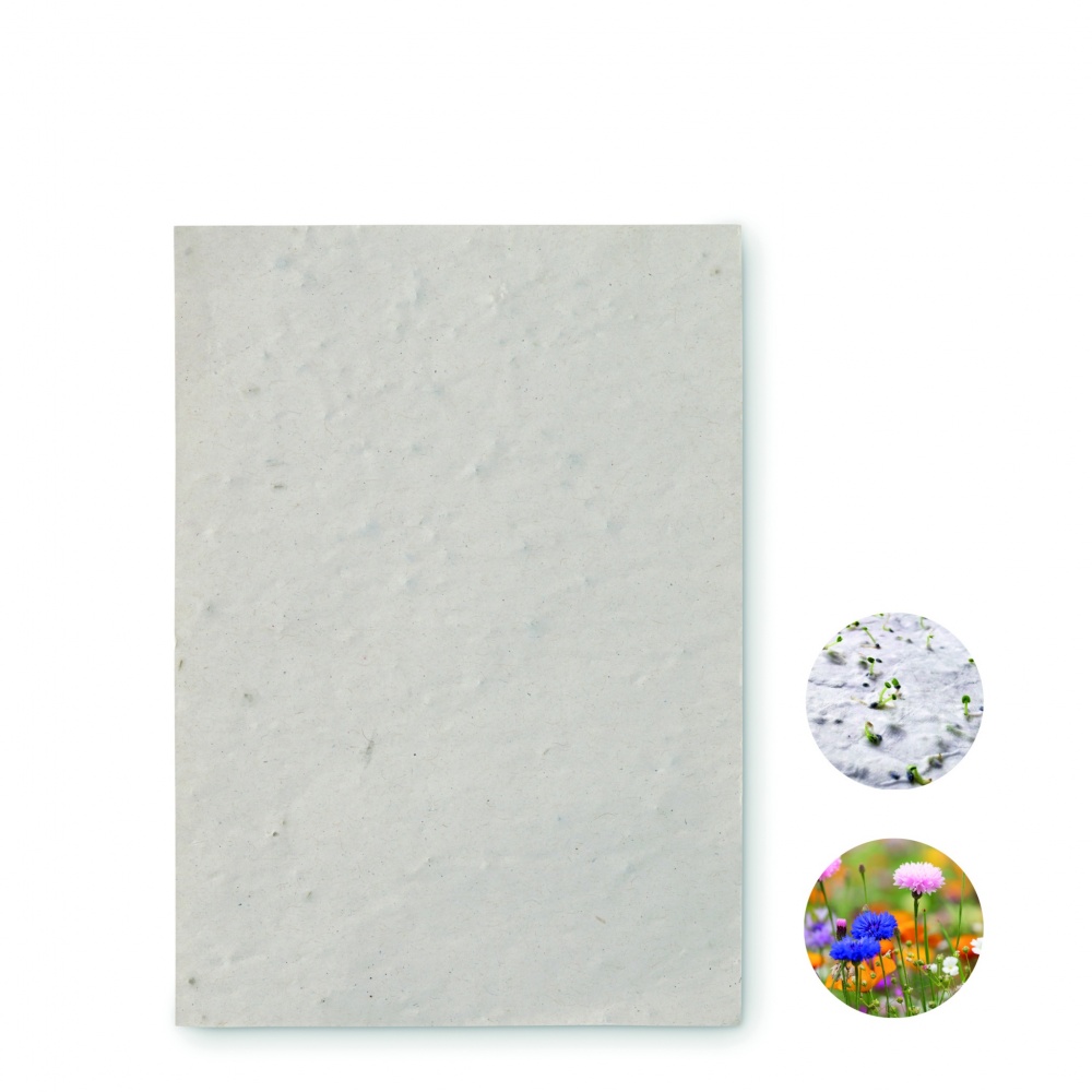 Logotrade firmakingitused pilt: A6 metsalilleseemne paberileht