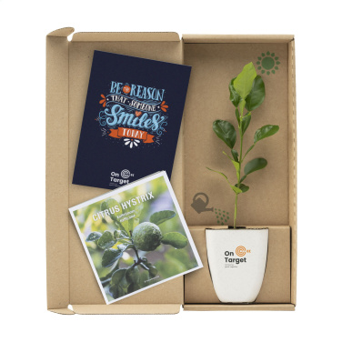 Logotrade ärikingituse foto: Treemore Letterbox Trees Kaffir Lemon