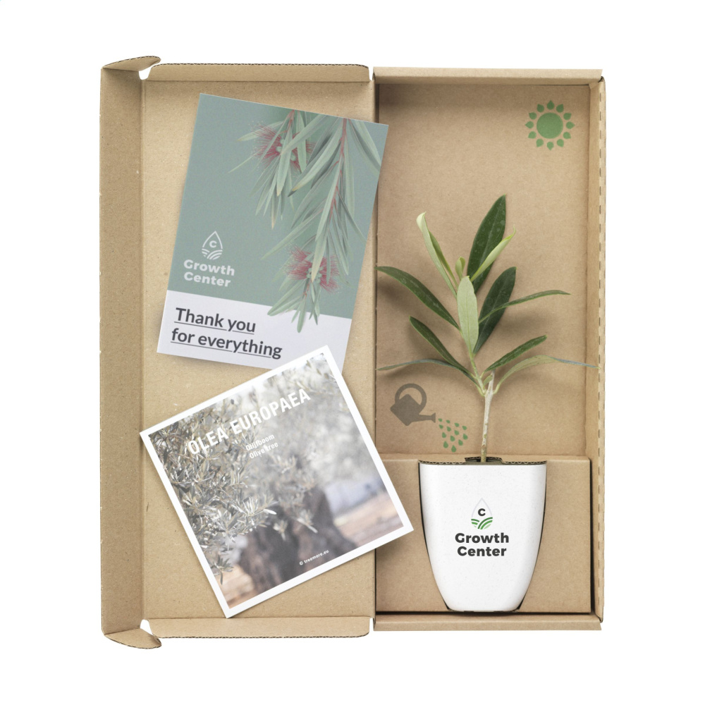 Logo trade reklaamkingitused foto: Treemore Letterbox Trees Olive