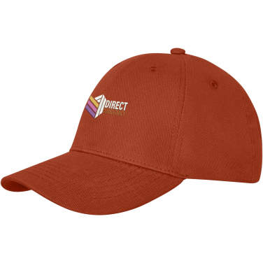 Logo trade ärikingi pilt: Davis 6 paneeli kork