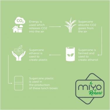 Logo trade mainostuotet tuotekuva: MIYO Renew kaksikerroksinen lounasrasia