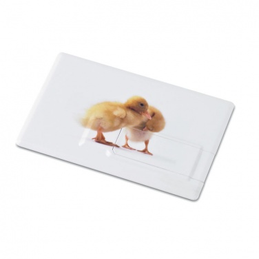 Logotrade mainoslahja ja liikelahja kuva: Luottokortti. USB flash 4GB