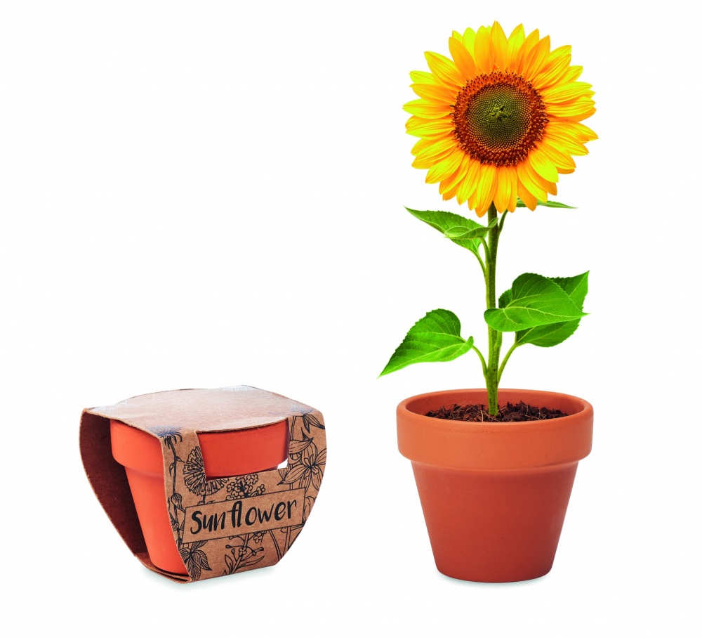 Logotrade liikelahja mainoslahja kuva: Terracotta ruukku