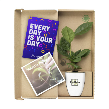 Logo trade liikelahjat tuotekuva: Treemore Letterbox Trees Teekasvi