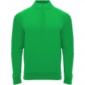 Epiro långärmad unisex sweatshirt med kvartslång dragkedja, Ormbunke grön